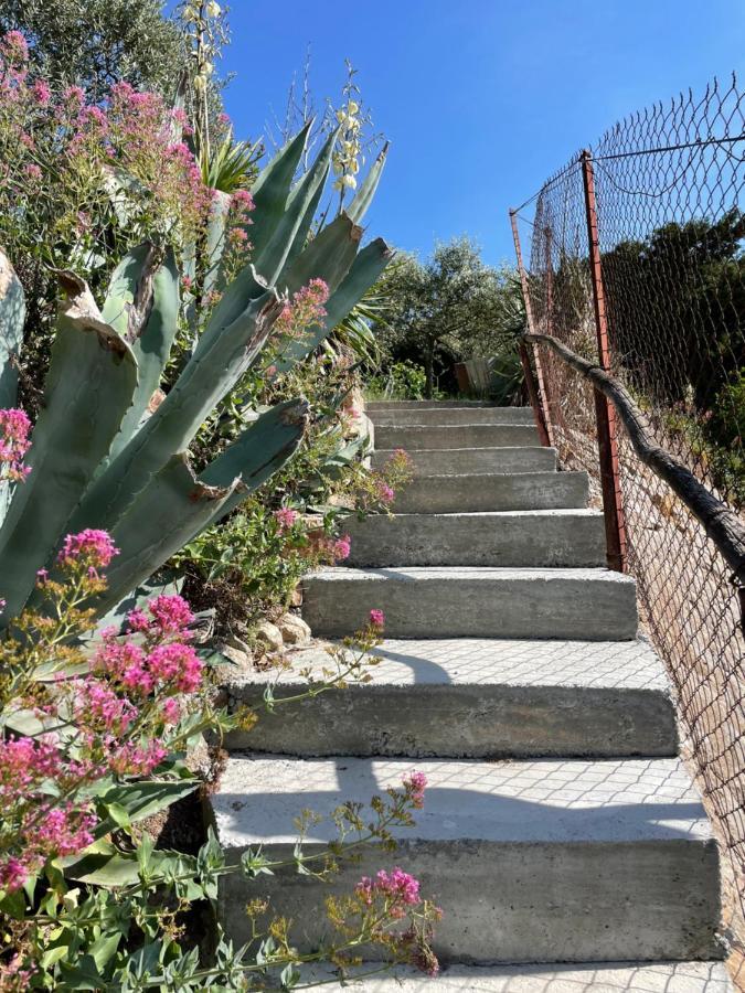 Sainte Victoire Le Cabanon Villa Puyloubier Екстериор снимка