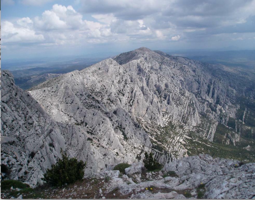 Sainte Victoire Le Cabanon Villa Puyloubier Екстериор снимка